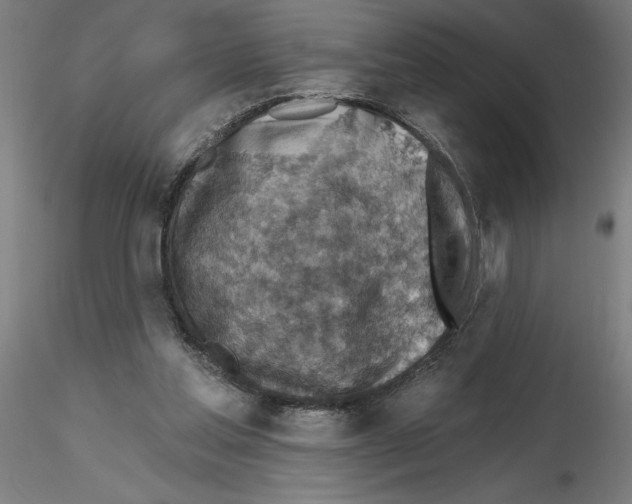 X0000116490205201001061148