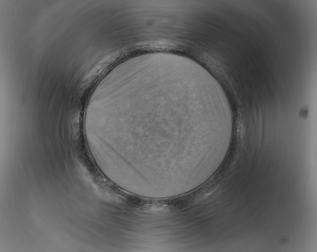 X0000116490206201001061148