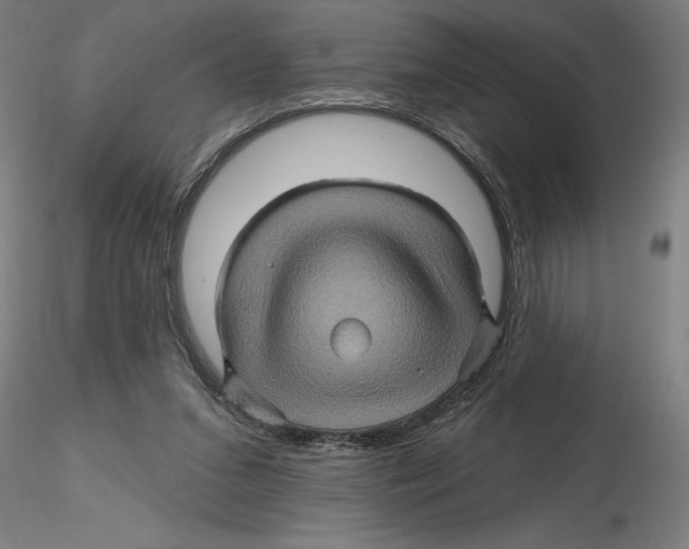 X0000116490207201001061148