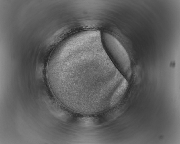 X0000116490209201001061148