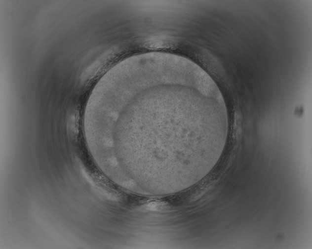 X0000116490210201001061148