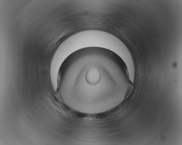 X0000116490211201001061148