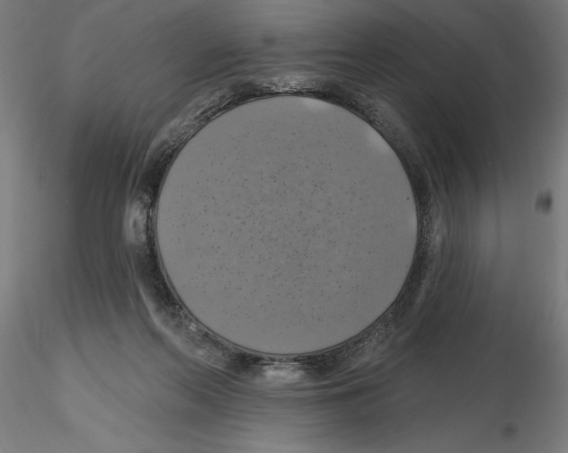 X0000116490214201001061148