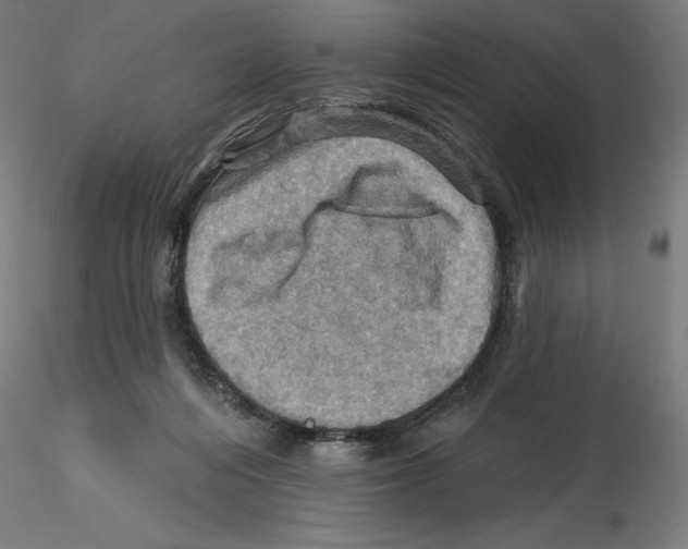 X0000116490216201001061148