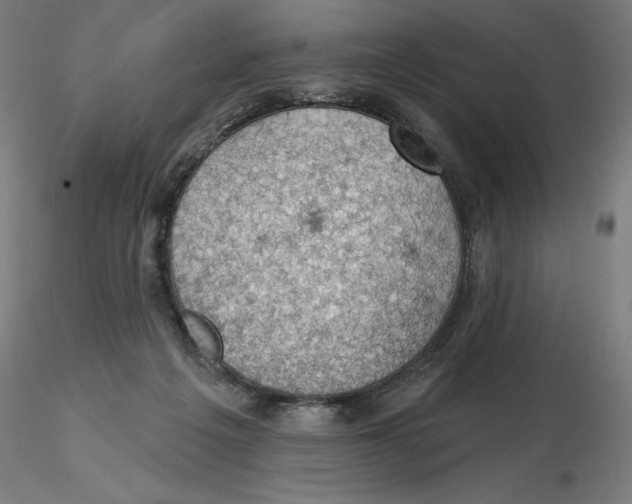 X0000116490217201001061148