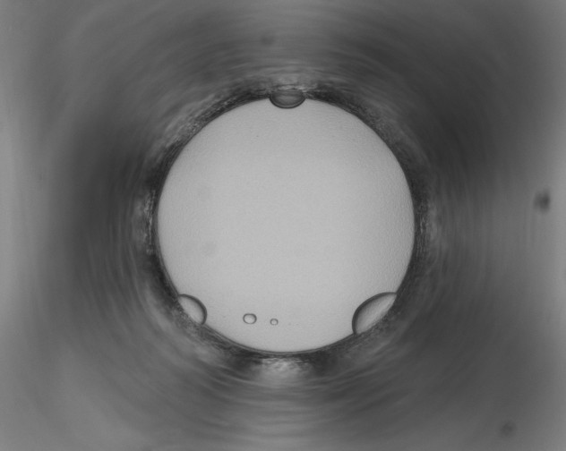 X0000116490218201001061148