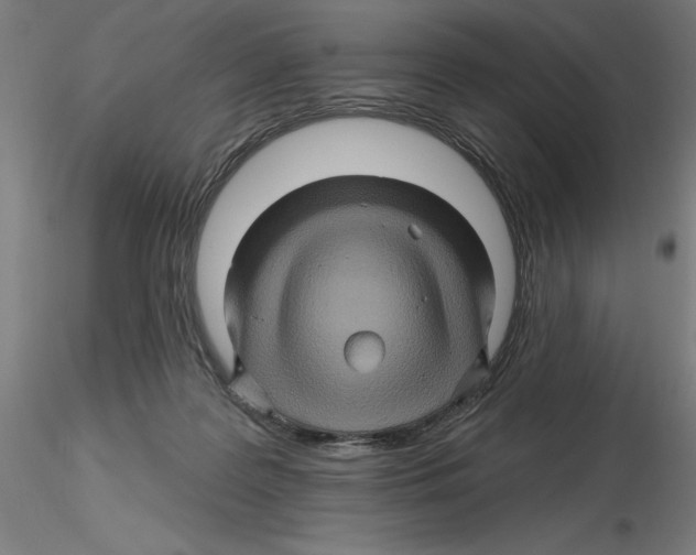 X0000116490219201001061148