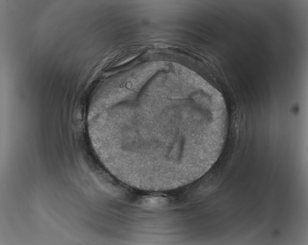 X0000116490220201001061148