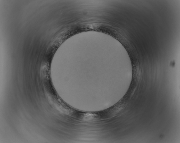 X0000116490222201001061148