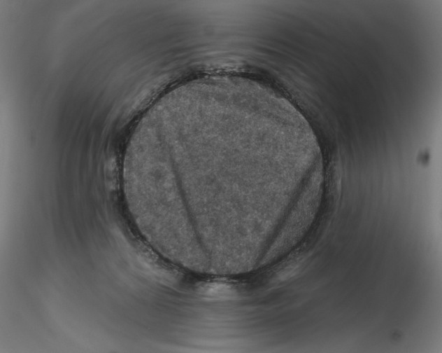 X0000116490224201001061148