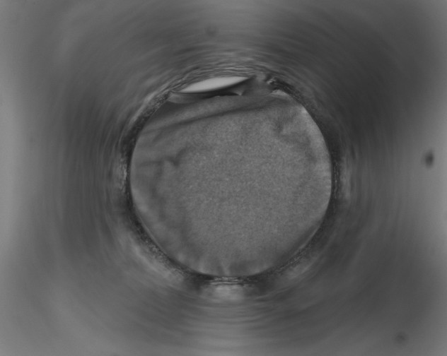 X0000116490228201001061148