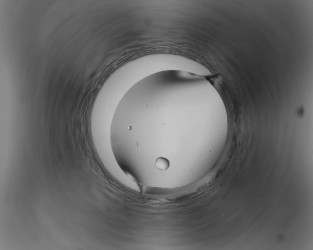 X0000116490229201001061148