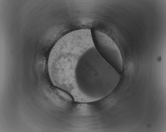 X0000116490231201001061148