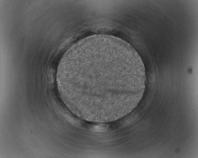 X0000116490232201001061148