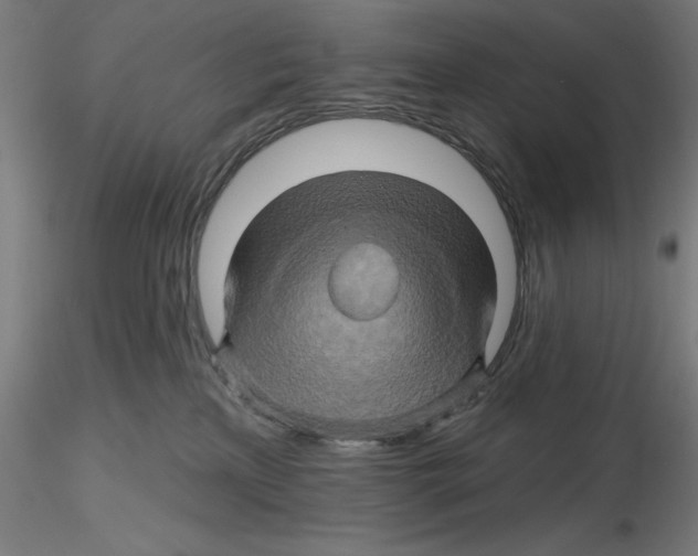 X0000116490233201001061148