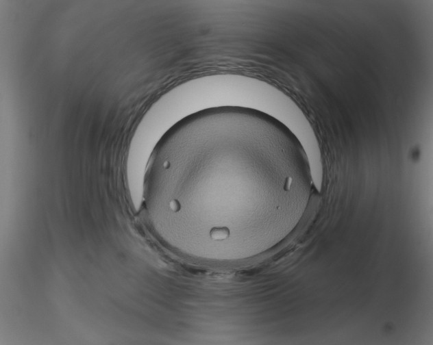 X0000116490235201001061148