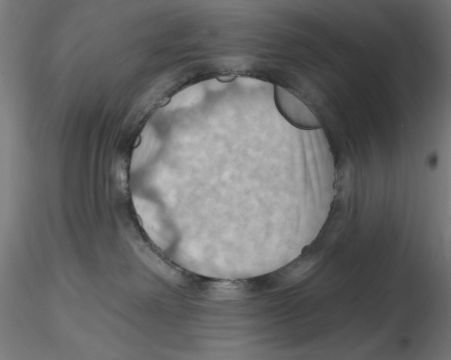 X0000116490238201001061148