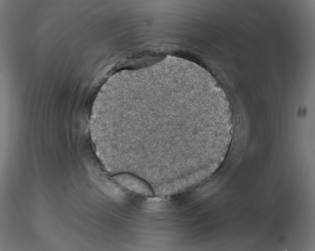 X0000116490240201001061148