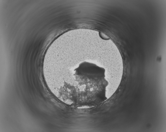 X0000116490241201001061147