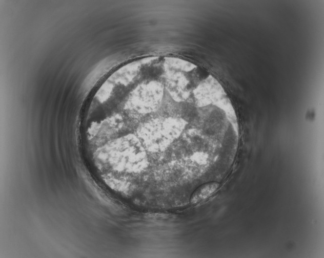 X0000116490242201001061147