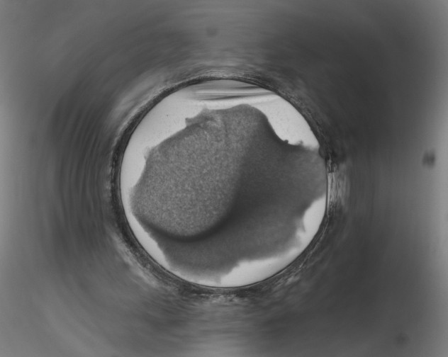 X0000116490243201001061147