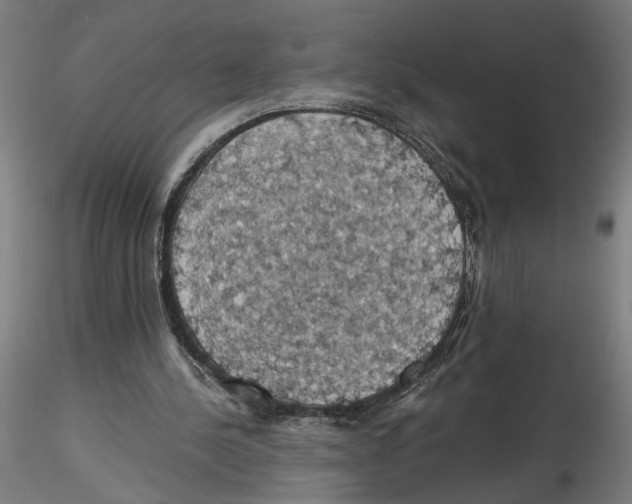 X0000116490244201001061147