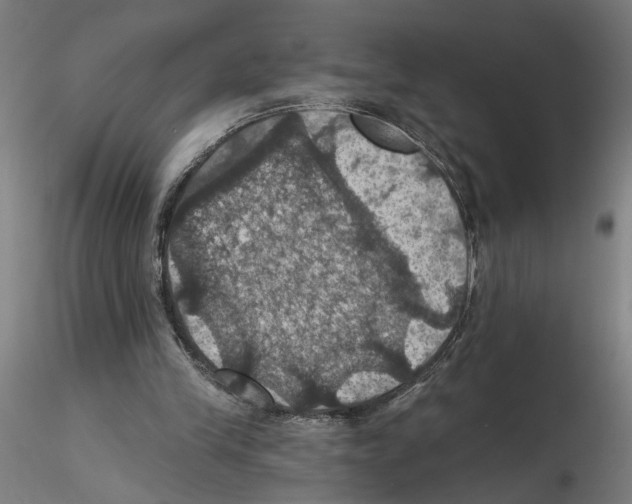 X0000116490245201001061147