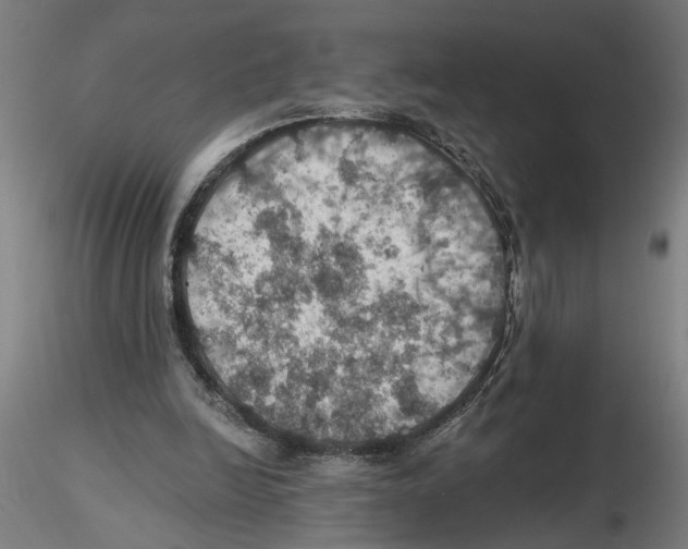 X0000116490246201001061147