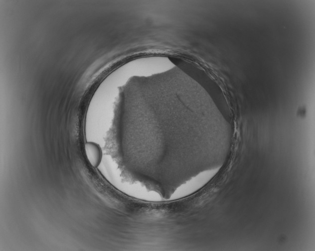 X0000116490247201001061147