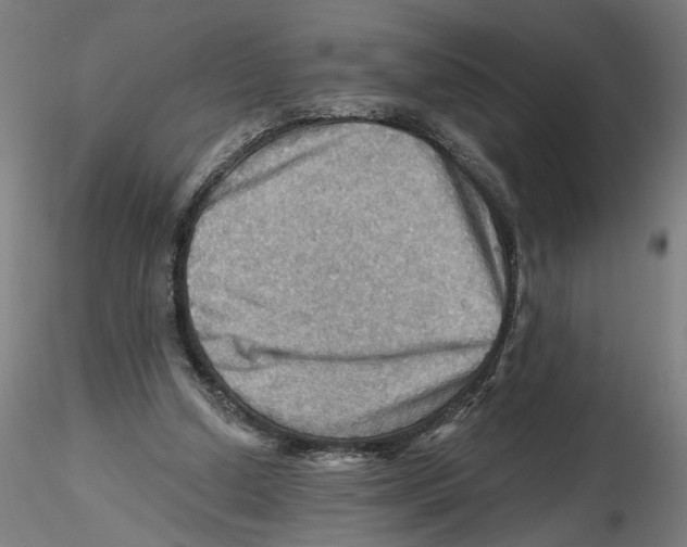 X0000116490250201001061147