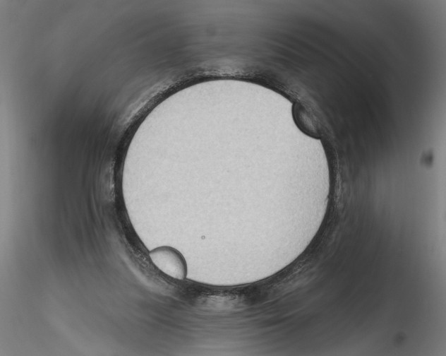 X0000116490251201001061147