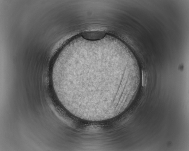 X0000116490252201001061147