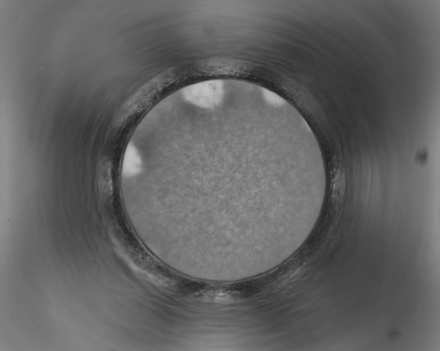 X0000116490254201001061147