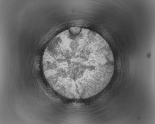 X0000116490255201001061147