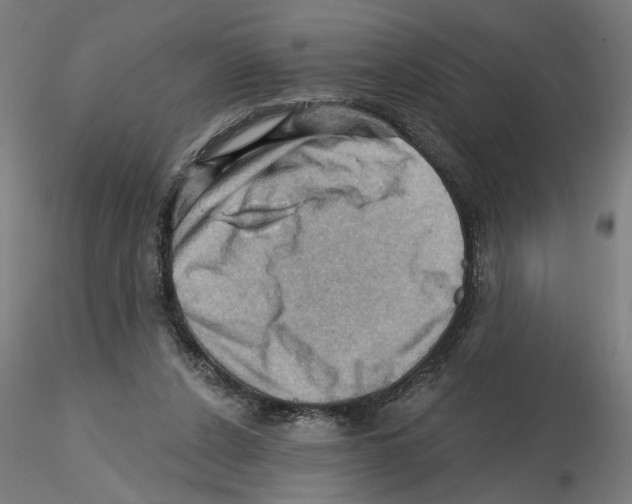 X0000116490256201001061147