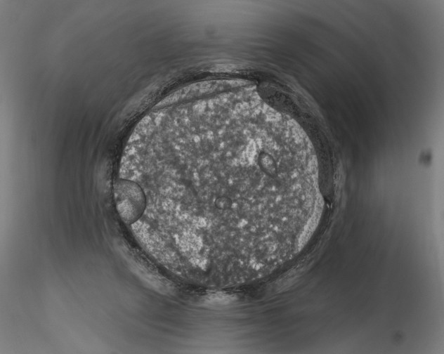 X0000116490257201001061147