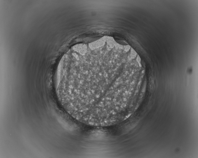 X0000116490259201001061147