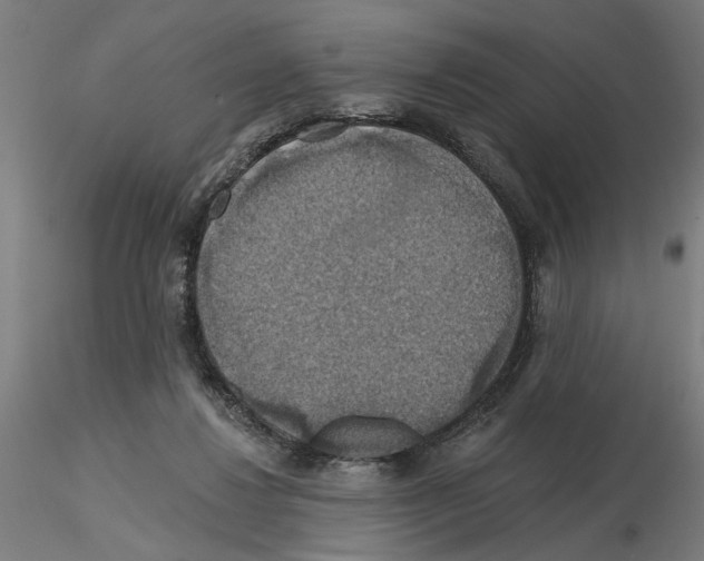 X0000116490260201001061147