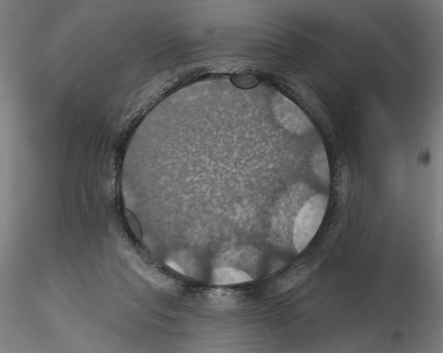 X0000116490261201001061147