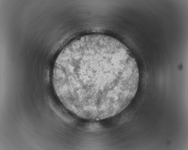 X0000116490262201001061147