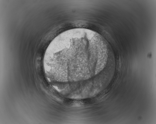 X0000116490263201001061147