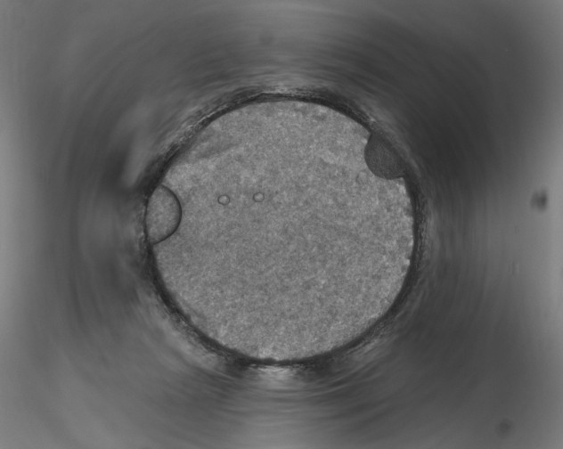 X0000116490265201001061147