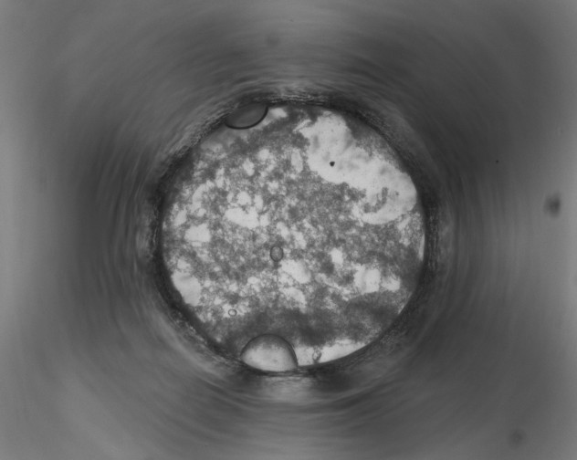 X0000116490266201001061147