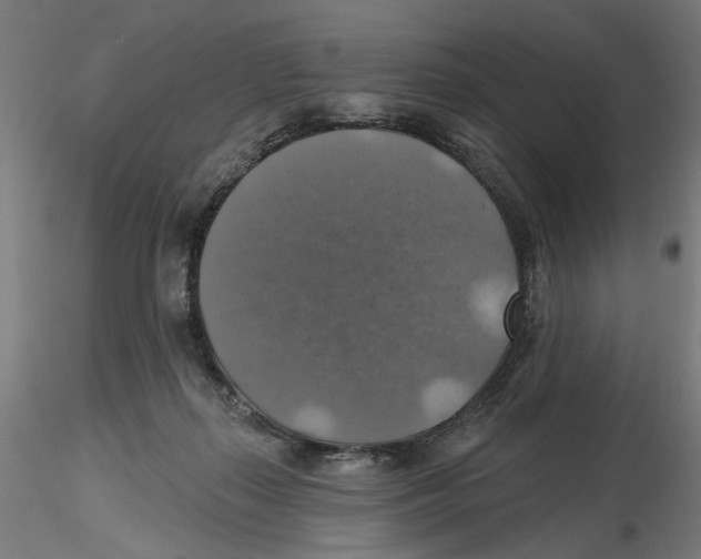 X0000116490267201001061147