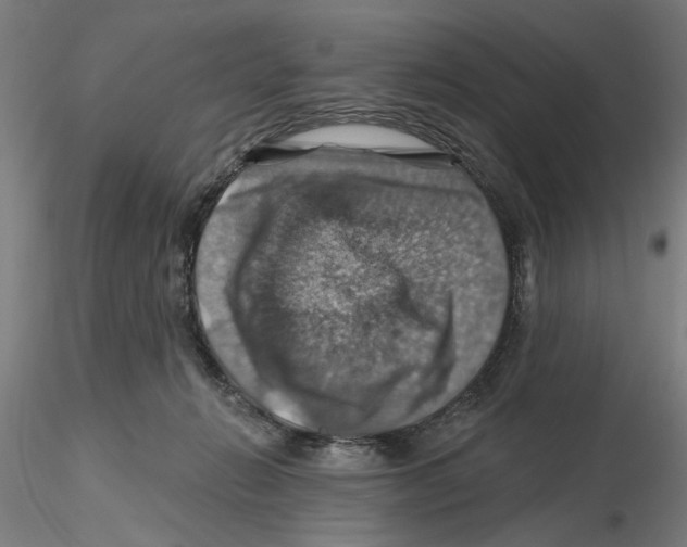 X0000116490270201001061147