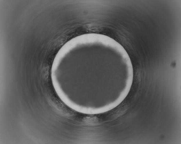 X0000116490271201001061147