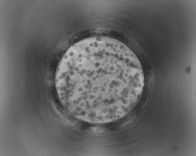 X0000116490272201001061147