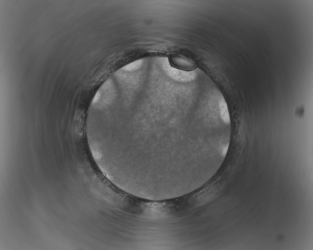 X0000116490273201001061147