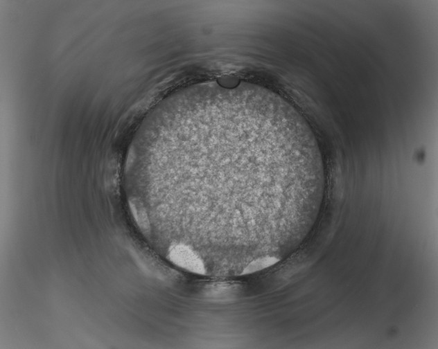 X0000116490274201001061147