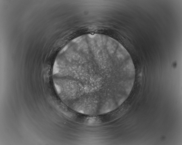 X0000116490275201001061147